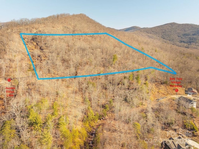 99999 Village Overlook Loop, Swannanoa NC, 28778 land for sale