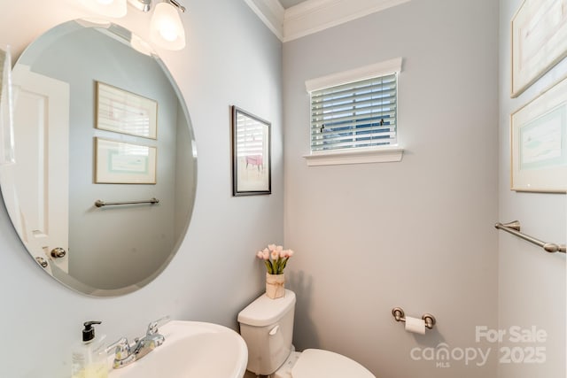 bathroom featuring sink, ornamental molding, and toilet