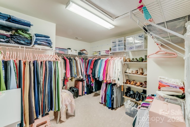 walk in closet with carpet floors