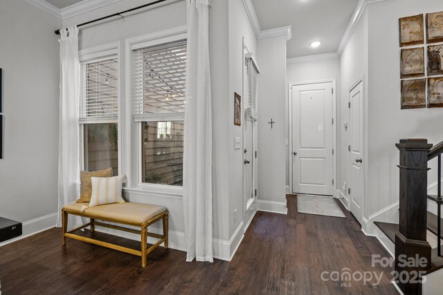 interior space with dark hardwood / wood-style floors and crown molding