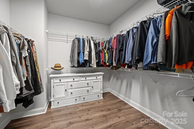 walk in closet with hardwood / wood-style flooring