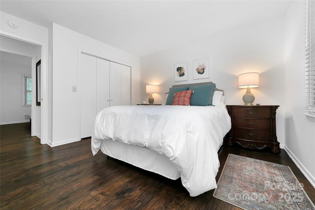 bedroom with a closet and dark hardwood / wood-style flooring