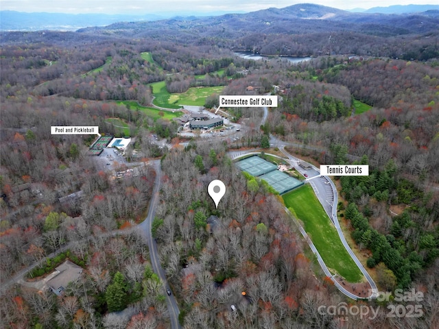 birds eye view of property with a mountain view