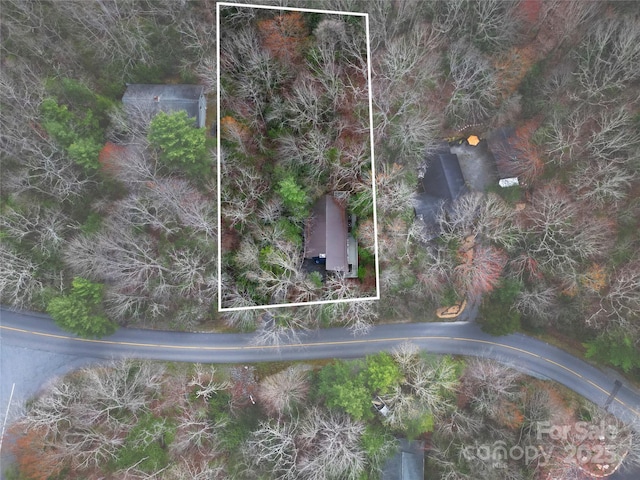 3703 Connestee Trl, Brevard, NC 28712 - photo 38