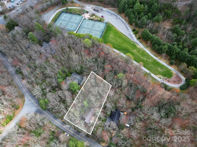 3703 Connestee Trl, Brevard, NC 28712 - photo 39