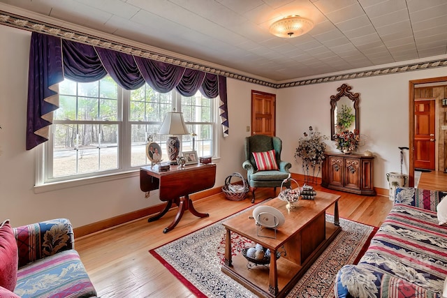 living room with ornamental molding and light hardwood / wood-style floors