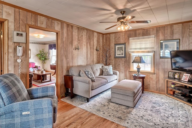 living room featuring ornamental molding, ceiling fan, and light wood-type flooring