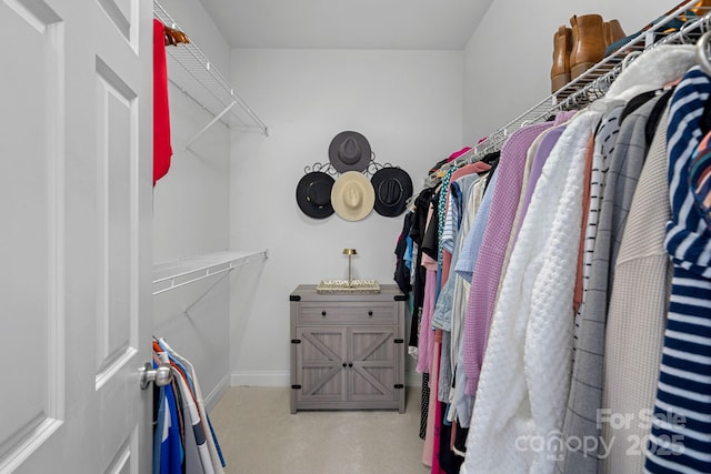 view of spacious closet