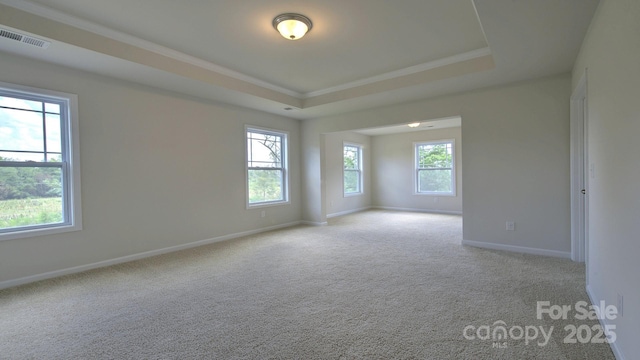 spare room with plenty of natural light, light colored carpet, and a tray ceiling