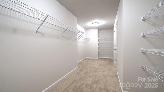 walk in closet with light carpet