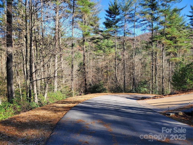 Listing photo 3 for 000 Camellia Trl Unit 23, Brevard NC 28712