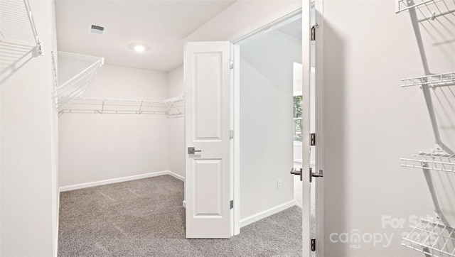 walk in closet featuring carpet