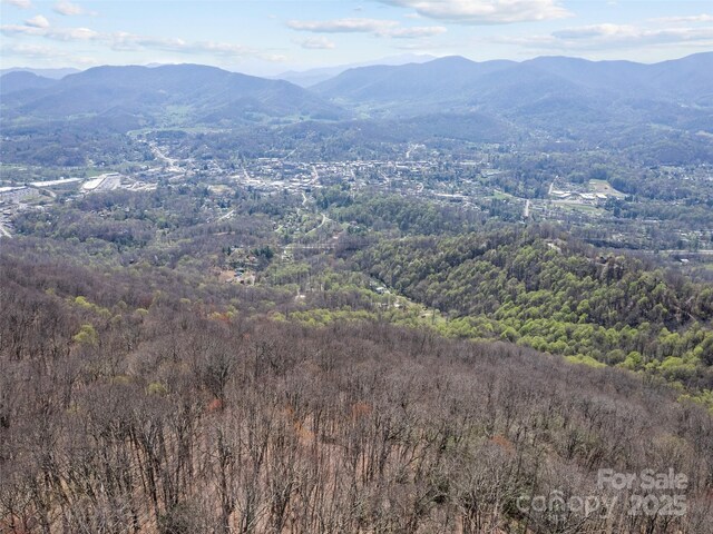 000 Larchwood Pt, Hazelwood, NC 28786 - photo 6
