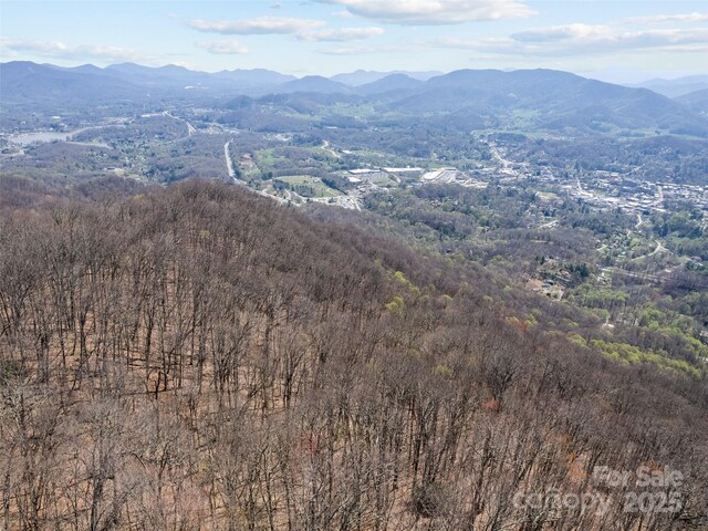 000 Larchwood Pt, Hazelwood, NC 28786 - photo 16