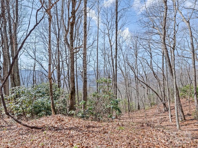 000 Larchwood Pt, Hazelwood, NC 28786 - photo 17