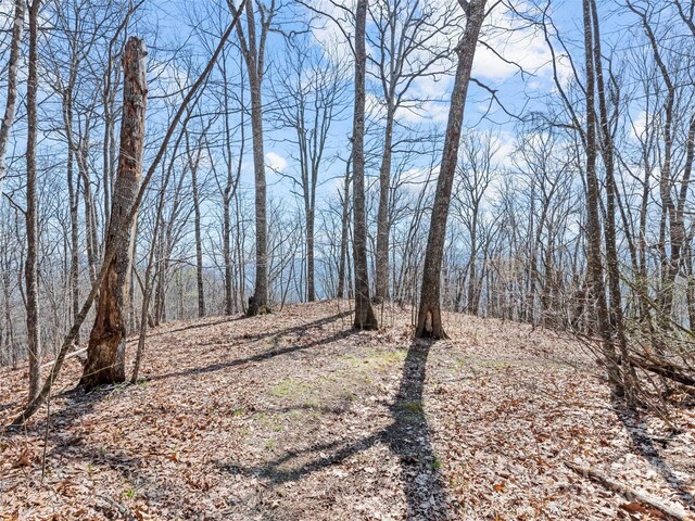 000 Larchwood Pt, Hazelwood, NC 28786 - photo 18