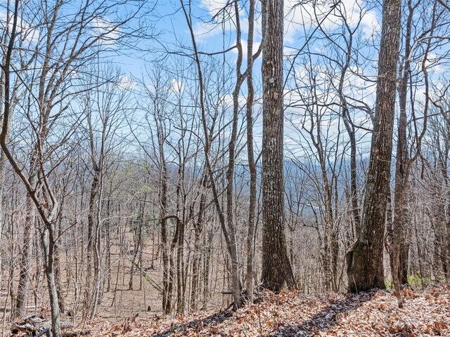 000 Larchwood Pt, Hazelwood, NC 28786 - photo 19