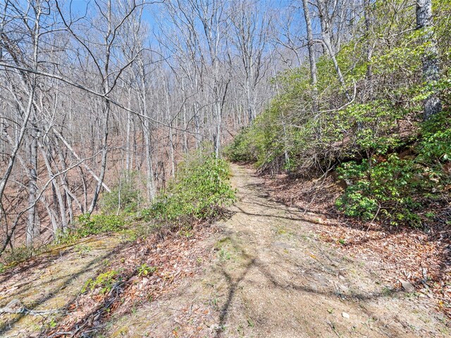 000 Larchwood Pt, Hazelwood, NC 28786 - photo 20