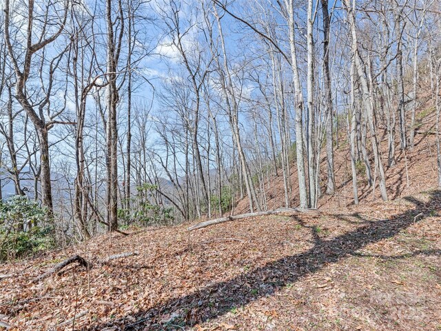 000 Larchwood Pt, Hazelwood, NC 28786 - photo 21