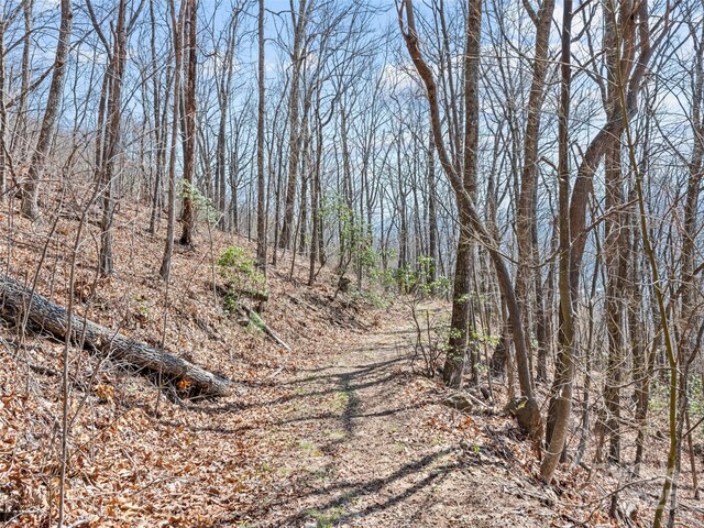 000 Larchwood Pt, Hazelwood, NC 28786 - photo 22