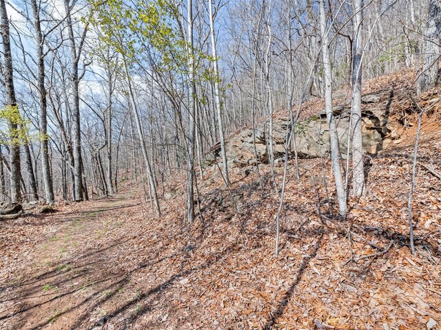 000 Larchwood Pt, Hazelwood, NC 28786 - photo 23