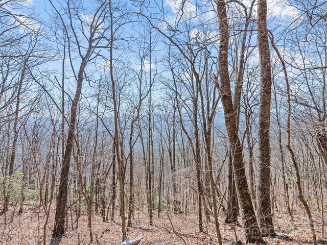 000 Larchwood Pt, Hazelwood, NC 28786 - photo 24