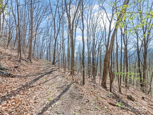 000 Larchwood Pt, Hazelwood, NC 28786 - photo 25