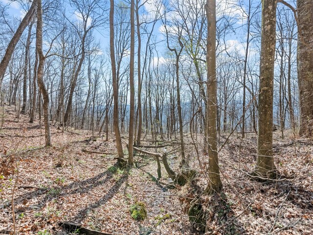 000 Larchwood Pt, Hazelwood, NC 28786 - photo 26
