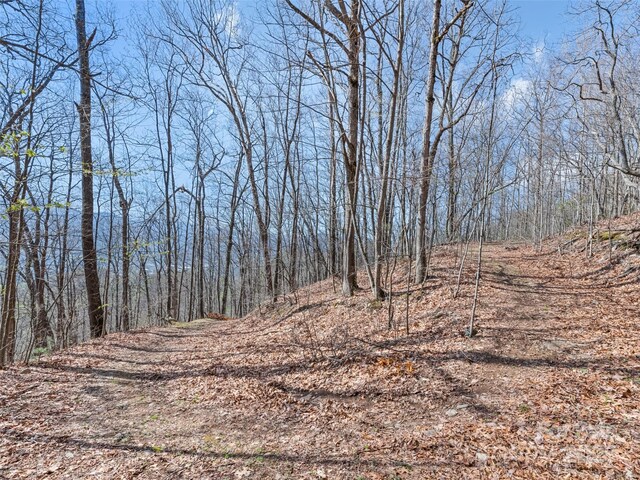 000 Larchwood Pt, Hazelwood, NC 28786 - photo 27