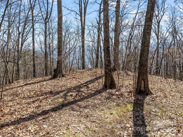 000 Larchwood Pt, Hazelwood, NC 28786 - photo 28