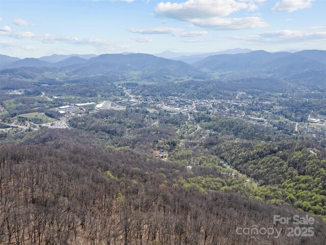 000 Larchwood Pt, Hazelwood, NC 28786 - photo 29