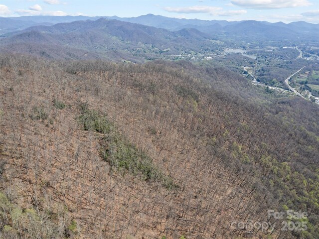 000 Larchwood Pt, Hazelwood, NC 28786 - photo 32