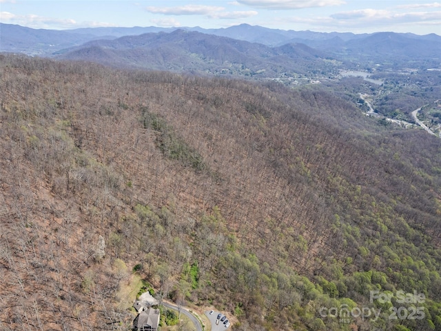 000 Larchwood Pt, Hazelwood, NC 28786 - photo 33