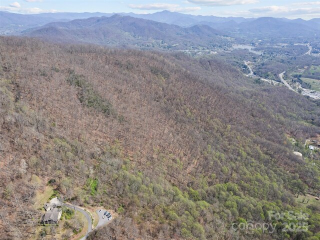 000 Larchwood Pt, Hazelwood, NC 28786 - photo 34