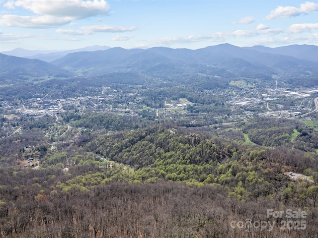 000 Larchwood Pt, Hazelwood, NC 28786 - photo 1
