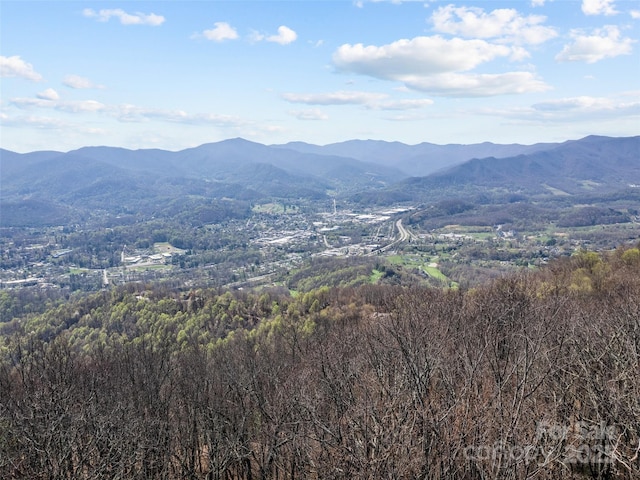 000 Larchwood Pt, Hazelwood, NC 28786 - photo 2