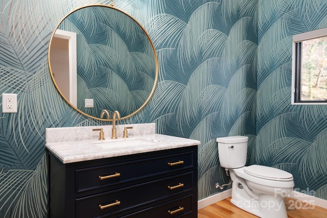 22 Innsbrook Rd, Asheville, NC 28804 - bathroom with vanity, toilet, and wood-type flooring