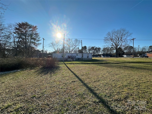 view of yard