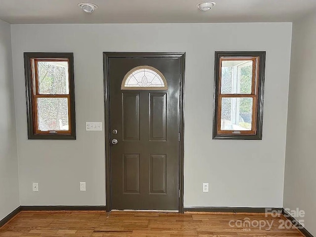 entryway featuring a wealth of natural light, wood finished floors, and baseboards