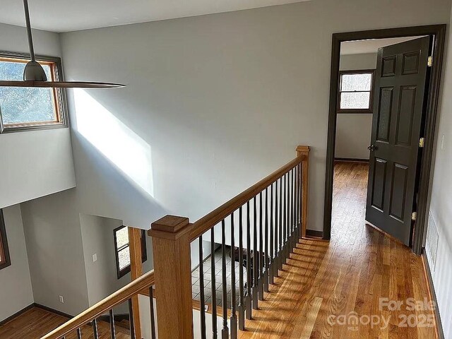 stairs featuring wood finished floors