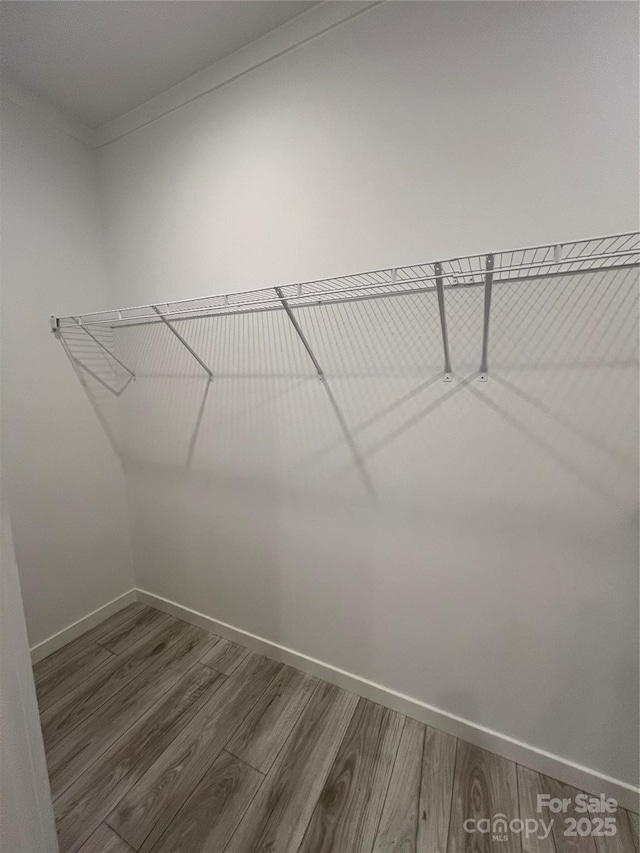 spacious closet featuring wood finished floors