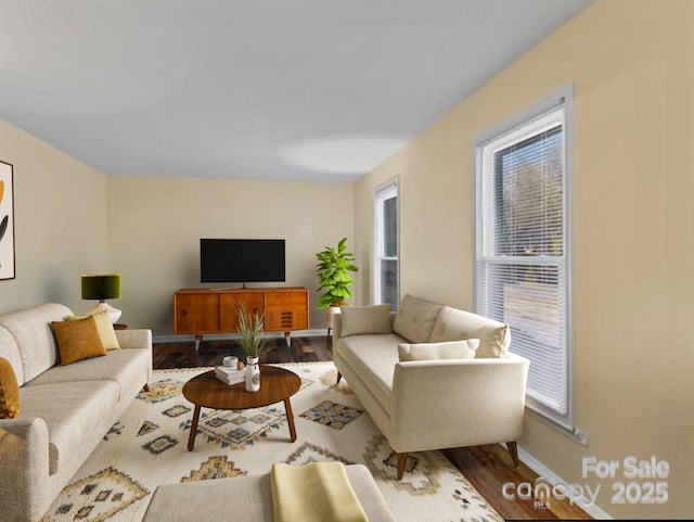 living room featuring wood-type flooring