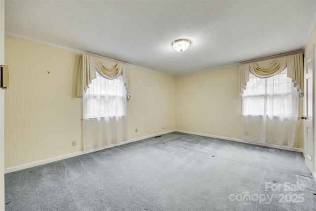 empty room with carpet flooring and a textured ceiling