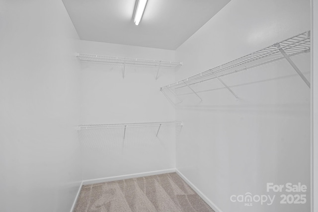 spacious closet with carpet