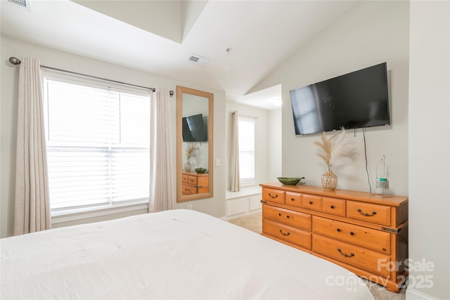 bedroom with lofted ceiling