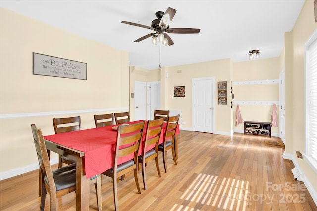 dining area with light hardwood / wood-style flooring and ceiling fan