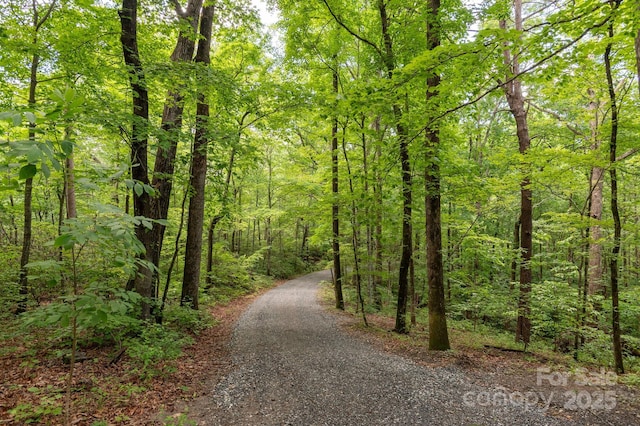 247 Skyuka Mountain Rd, Columbus, NC 28722 - view of street with a wooded view