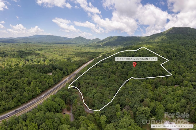 247 Skyuka Mountain Rd, Columbus, NC 28722 - aerial view of property's location with a heavily wooded area, property parcel outlined, and a mountain backdrop