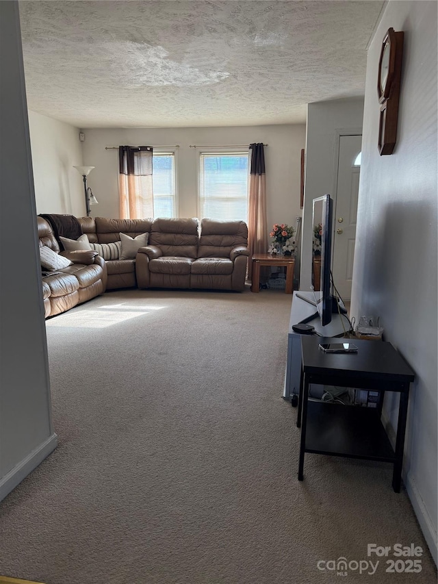 carpeted living room with a textured ceiling