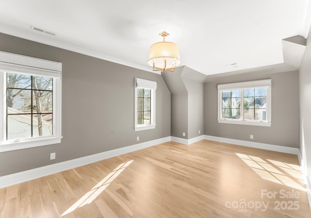 additional living space featuring wood-type flooring and plenty of natural light